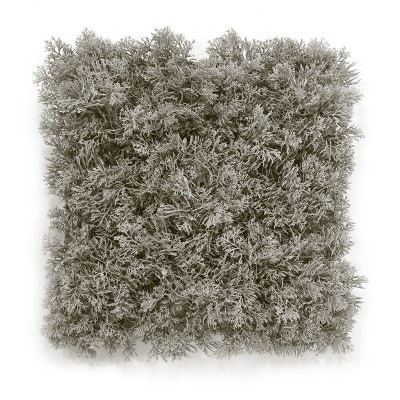 Konstgjord Mossmatta av renlav (25x25 cm)