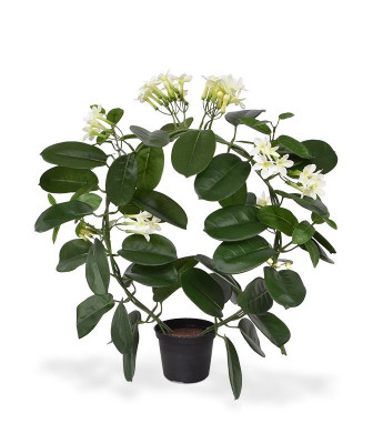 Planta Stephanotis artificial 40 cm 