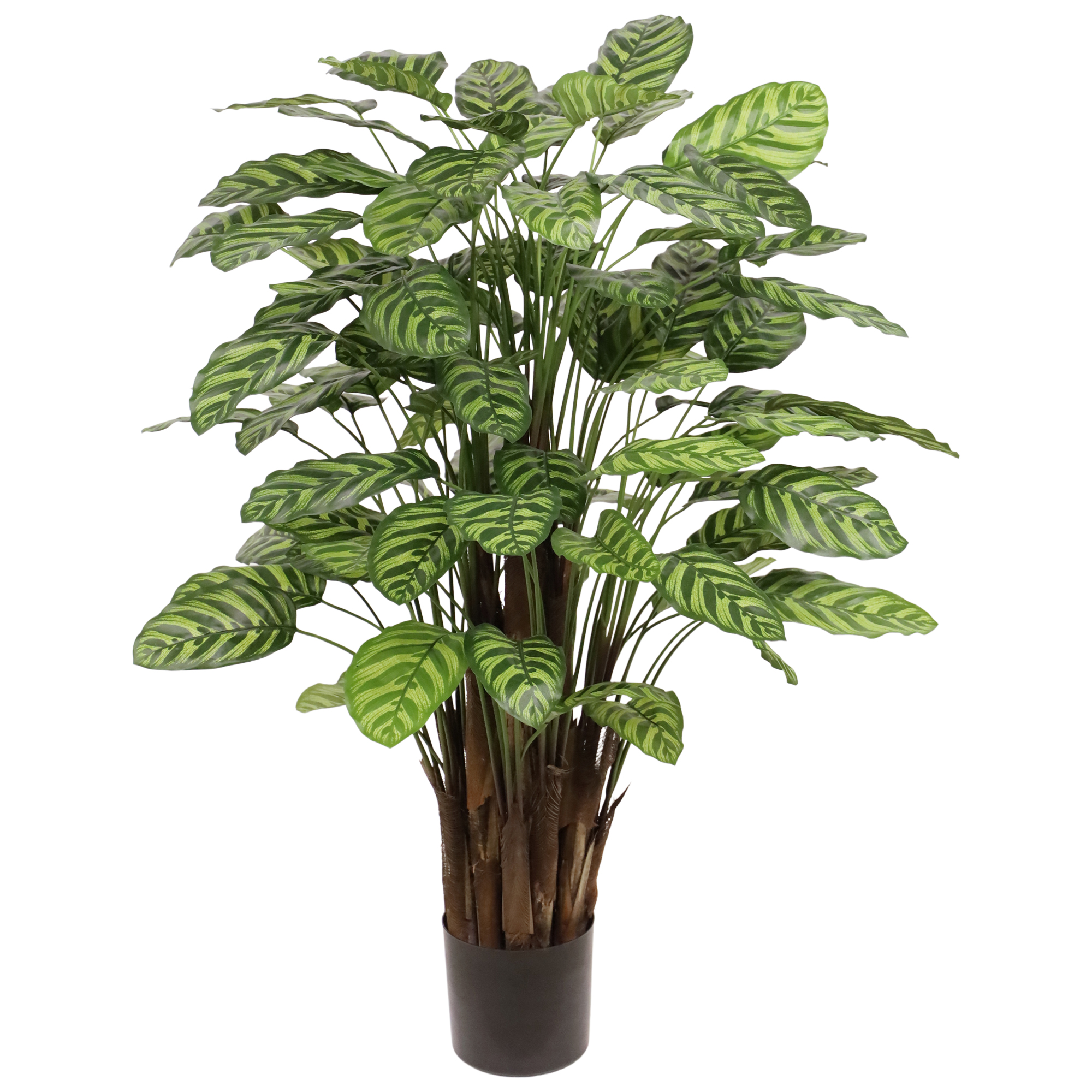 Artificial Calathea (115 cm) Artificial Calathea (115 cm)