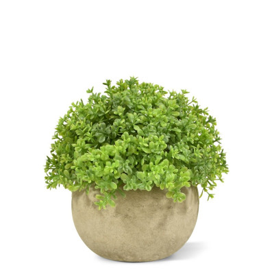 Artificial Mini Boxwood 14 cm in pot
