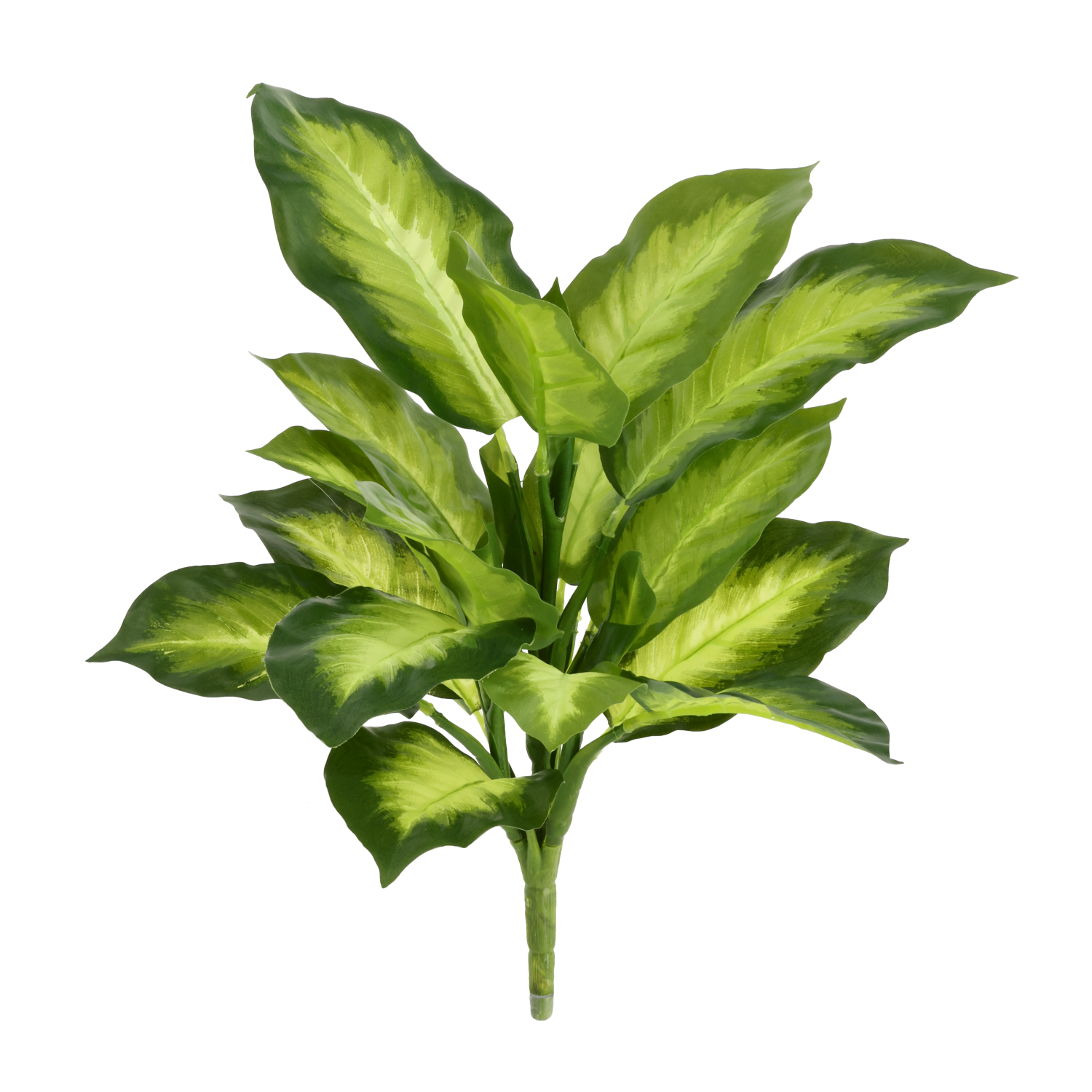 Dirbtinis augalas Dieffenbachia (33 cm)