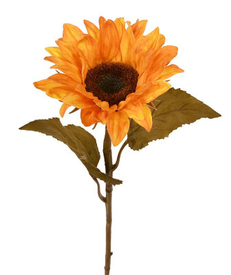 Auringonkukka  (65 cm)