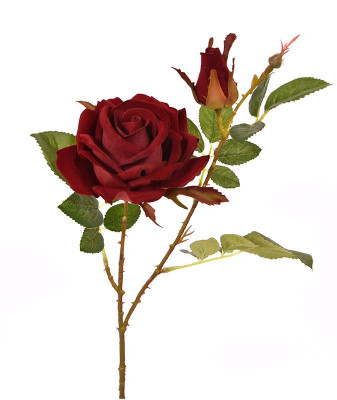 Róża łodyga (60 cm)