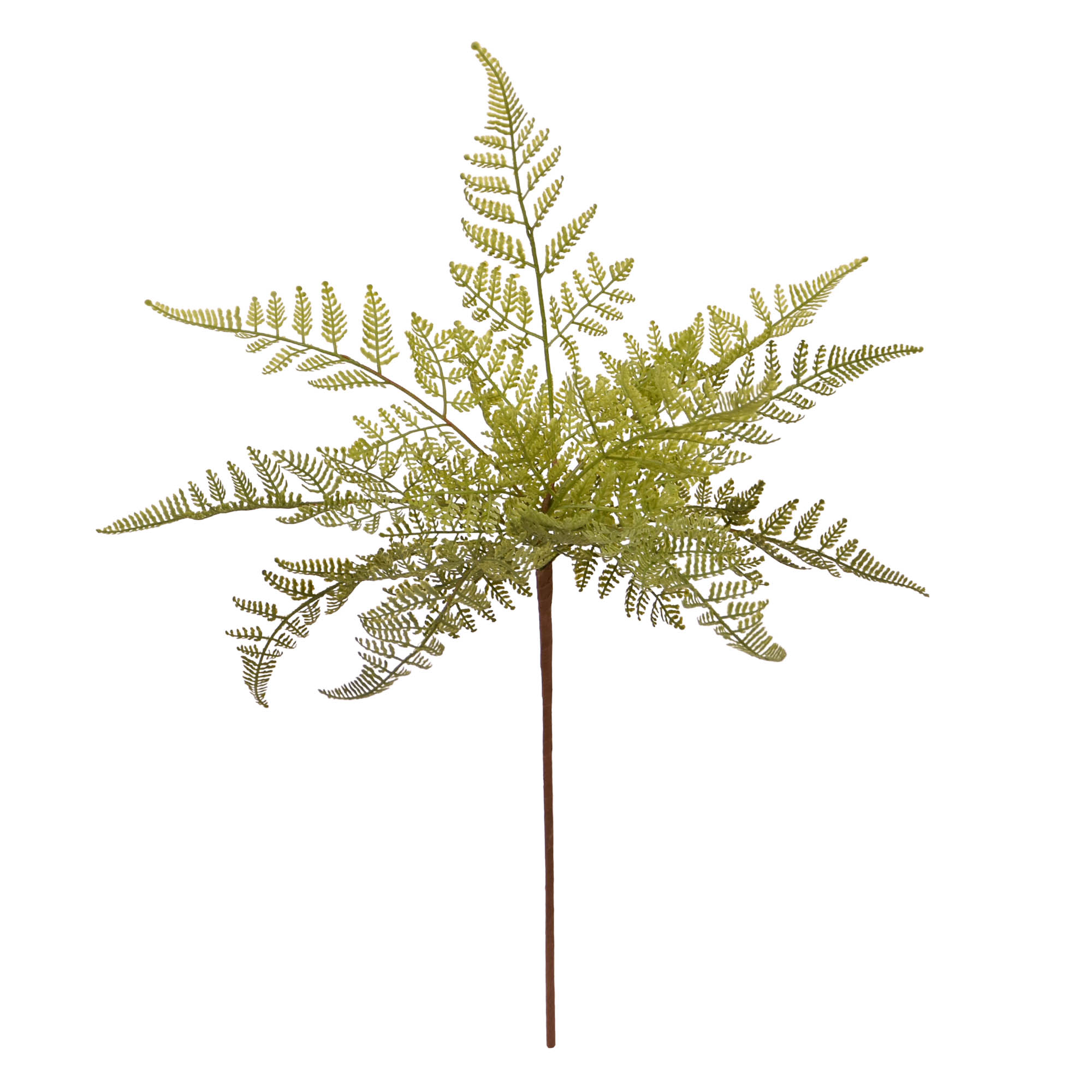 Umetna rastlina Praprot (45 cm)