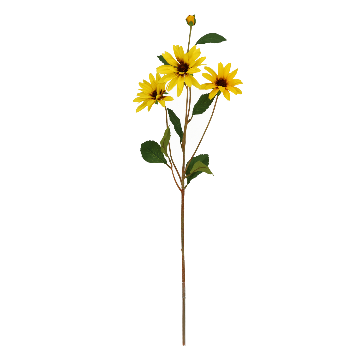 Mākslīgā rudbekija (83 cm)