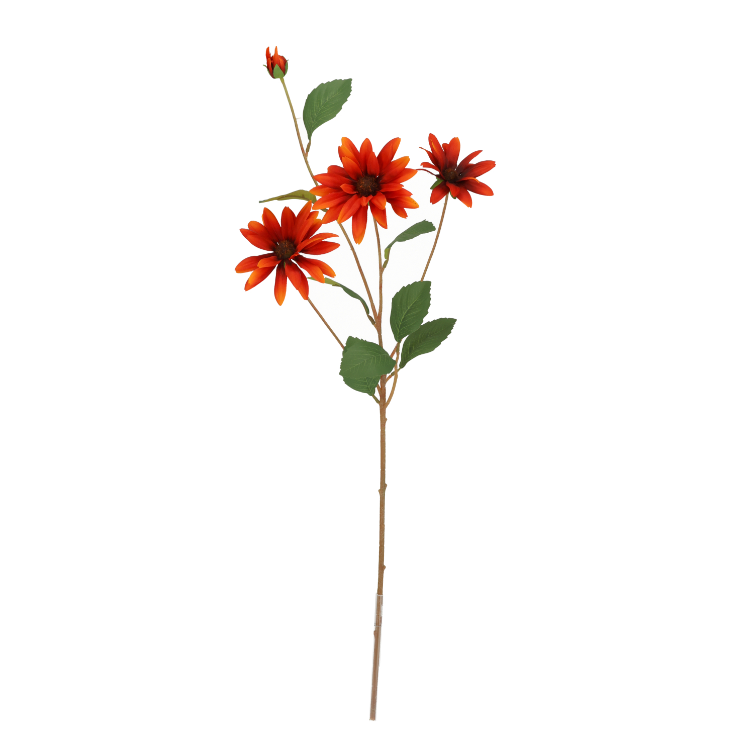 Mākslīgā rudbekija (83 cm)