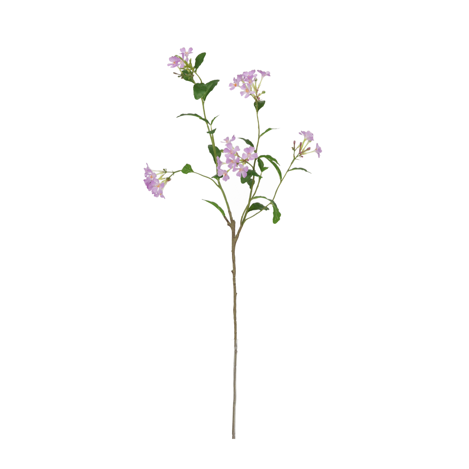 Mākslīgais neaizmirstams (85 cm)