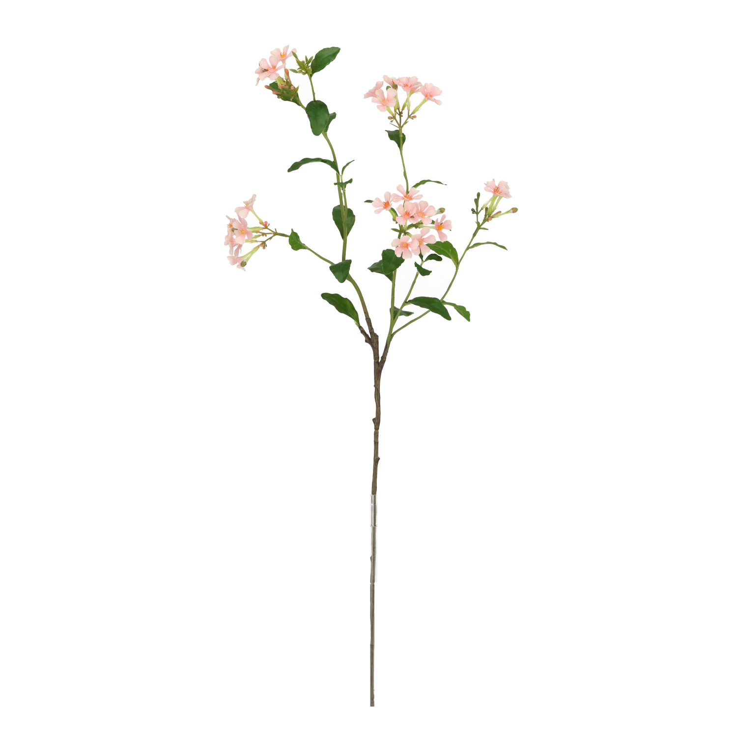 Mākslīgais neaizmirstams (85 cm)