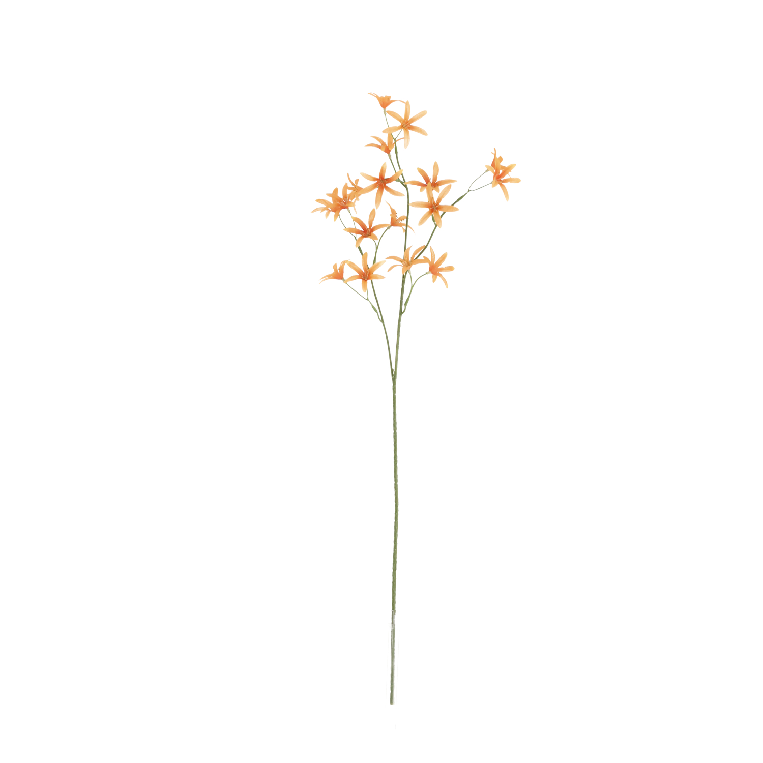 Kunstbloem Oxypetalum Tweedia (68 cm)