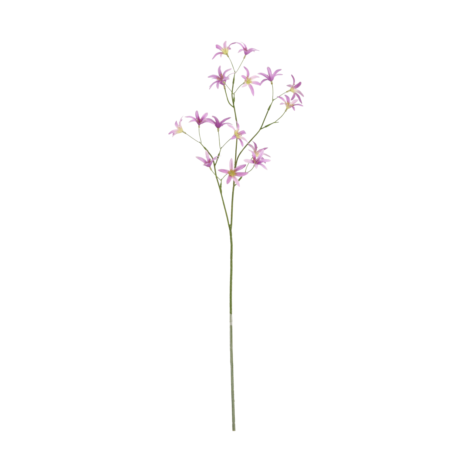 Kunstbloem Oxypetalum Tweedia (68 cm)