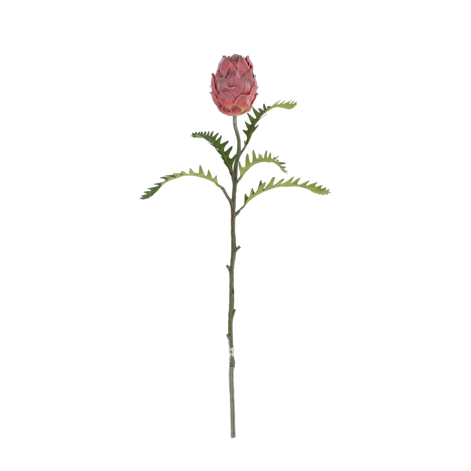 Konstgjord Protea (63 Cm)