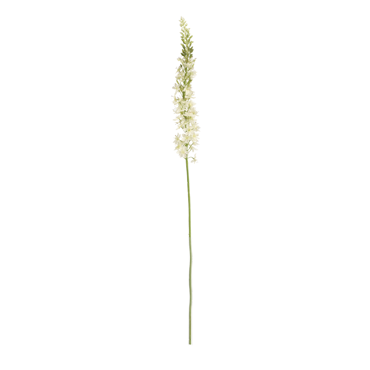 Konstgjord Eremurus (110 Cm)