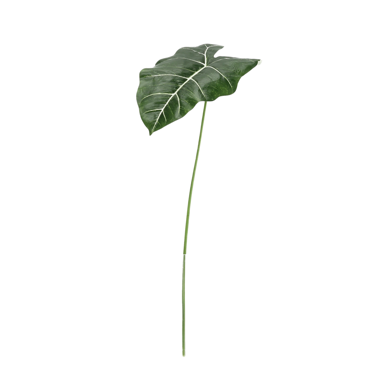 Umelá rastlina Alocasia (58 cm)