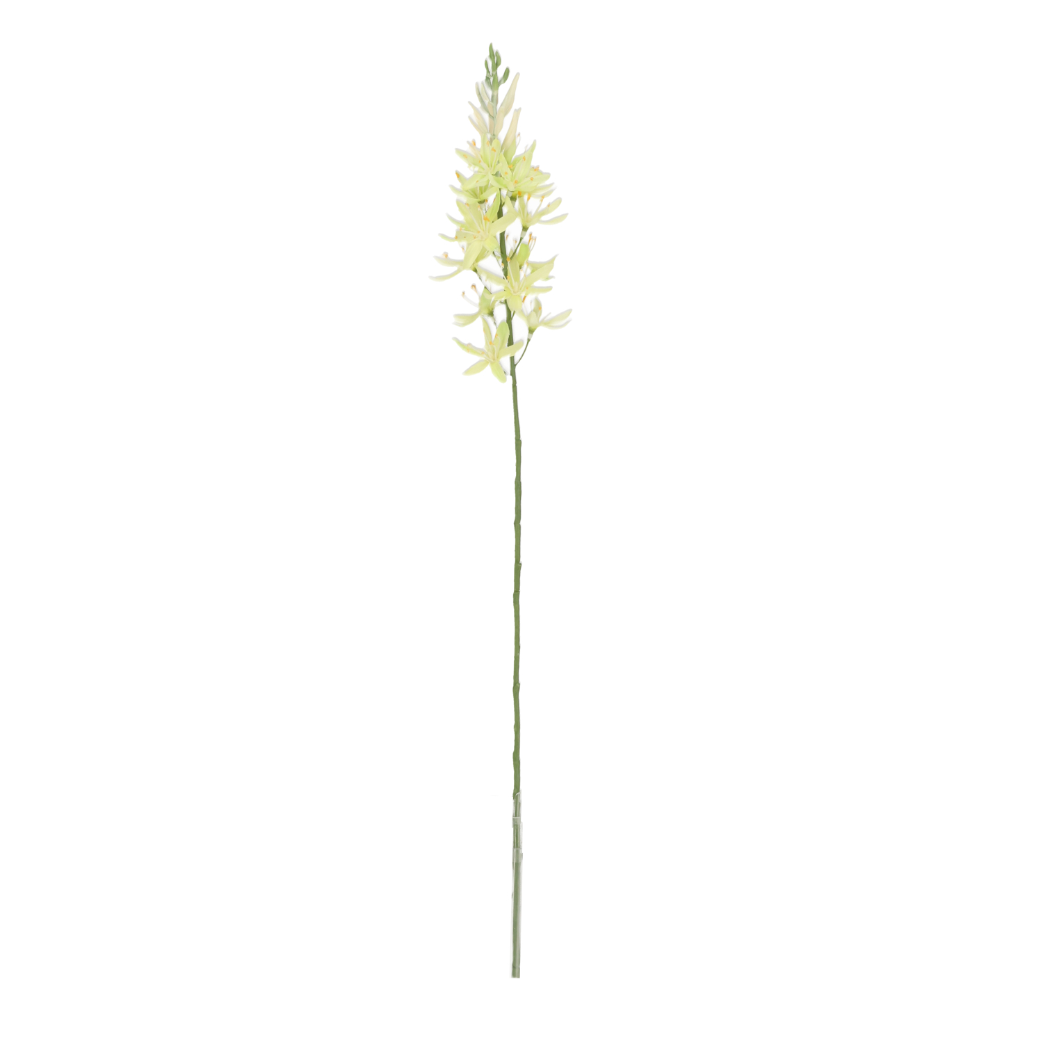 Umelá rastlina Camassia (61 cm)