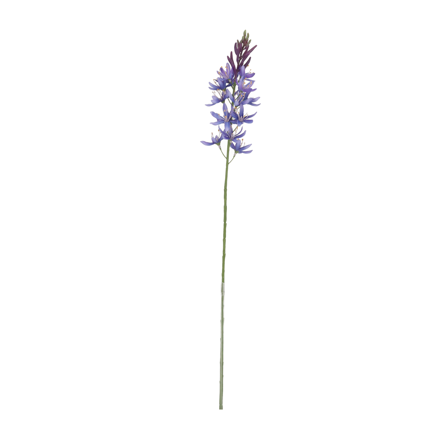 Umelá rastlina Camassia (61 cm)