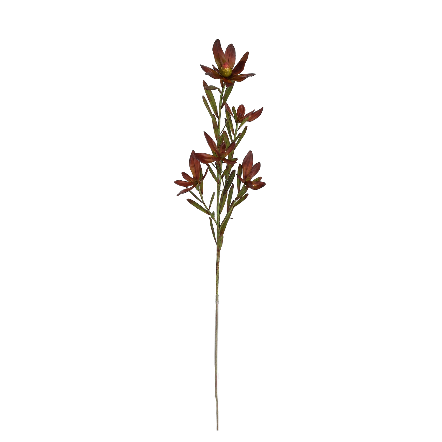 Artificial Leucadendron (89 cm)