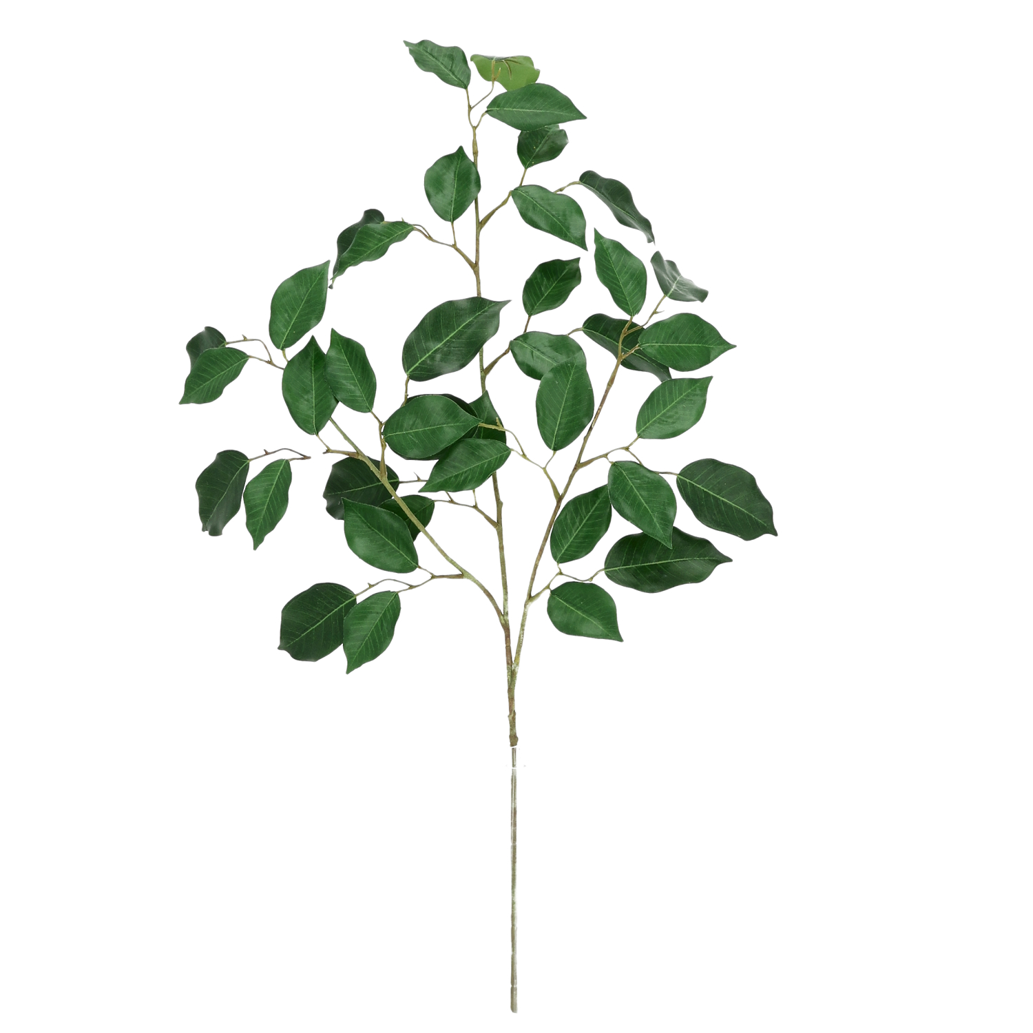 Dirbtinis medis Fikusas (77 cm) FR