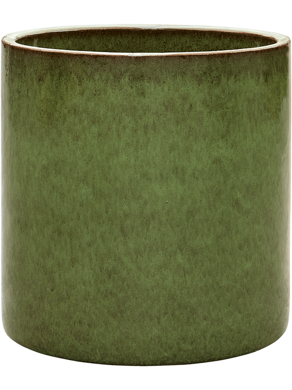 Cylinder - Pot Green (⌀50 ↕50)
