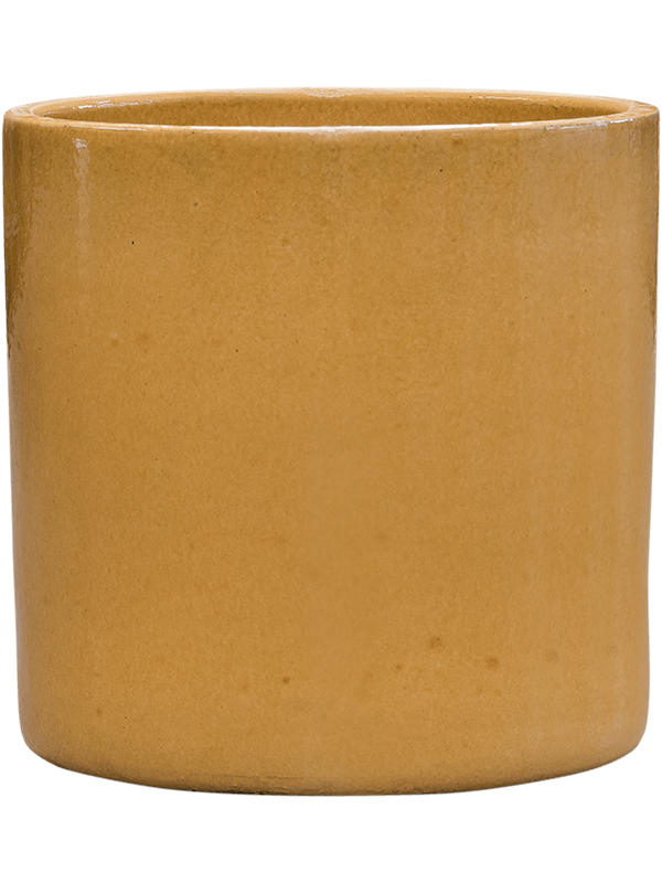 Cylinder - Pot Honey (⌀40 ↕40)