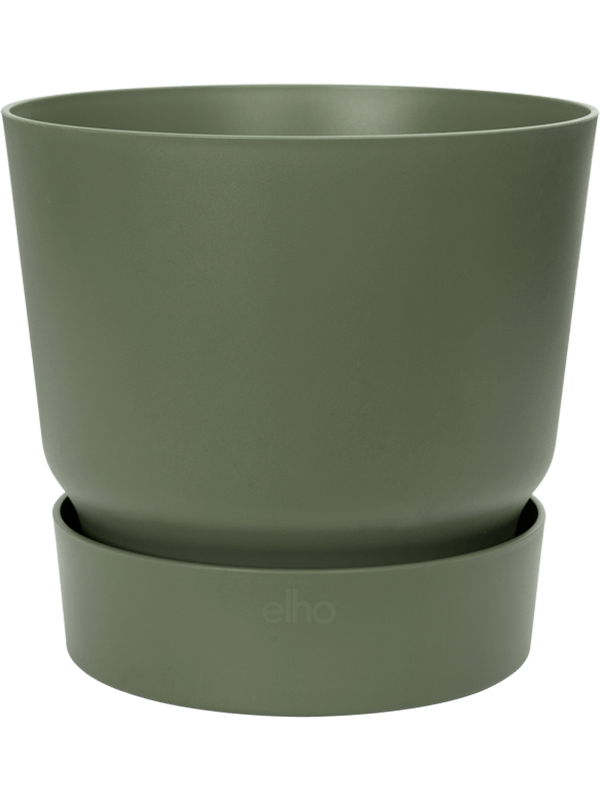 Greenville - Round Leaf Green (⌀19 ↕18)