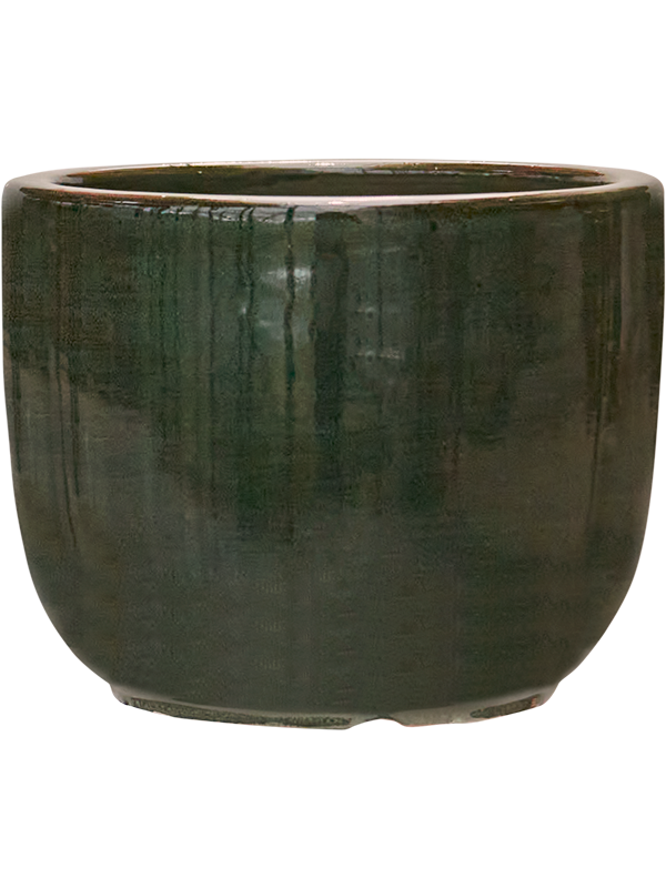 Plain Striped - Couple Olive (⌀21 ↕16)