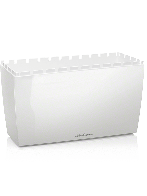 Lechuza Cararo - White ( ↔75 ↖30 ↕43)