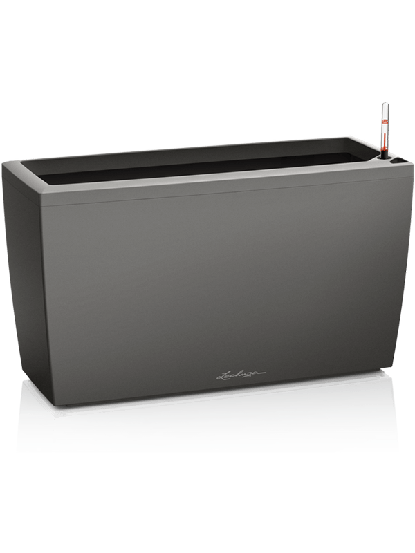 Lechuza Premium Cararo - All Inclusive Set Anthracite ( ↔75 ↖30 ↕43)