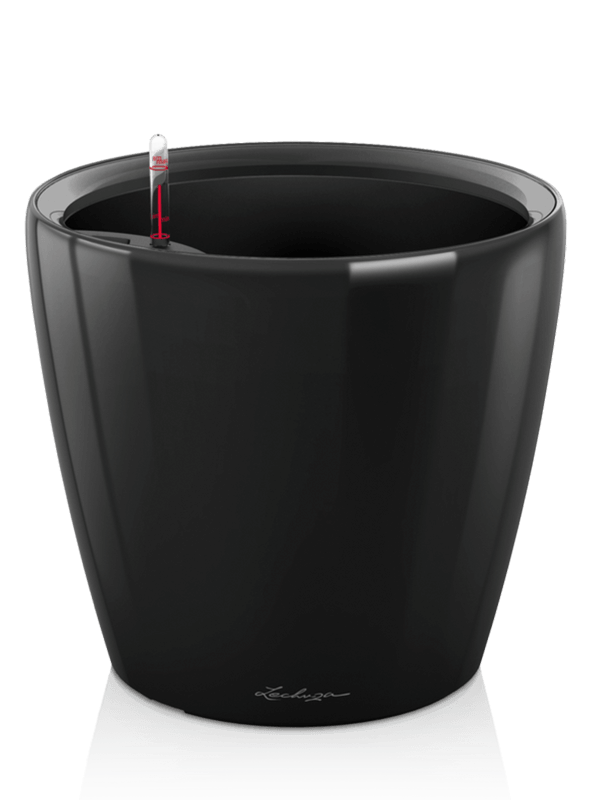 Lechuza Classico LS 43 - All Inclusive Set black High Gloss (⌀43 ↕40)