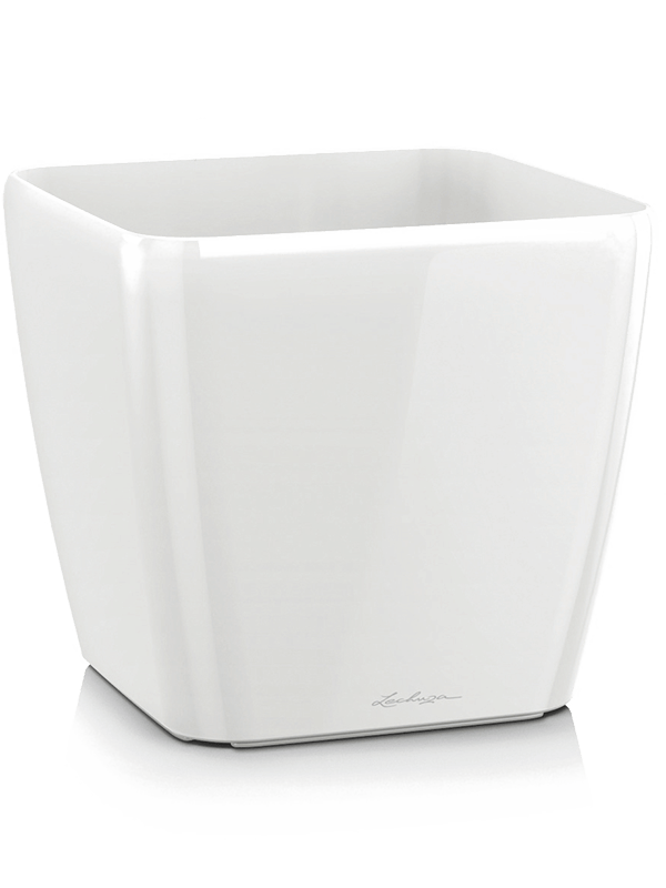 Lechuza Quadro - White ( ↔21 ↖21 ↕20)