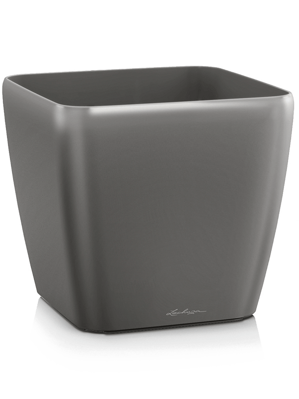 Lechuza Quadro - Anthracite ( ↔50 ↖50 ↕47)