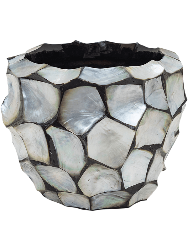 Baq Oceana Pearl - Couple Blue (⌀17 ↕15)