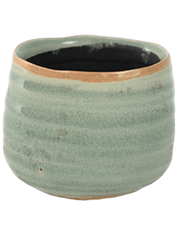 Iris - Pot Mint (⌀8 ↕7)