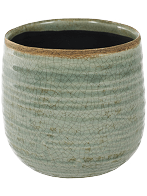 Iris - Pot Mint (⌀14 ↕12)