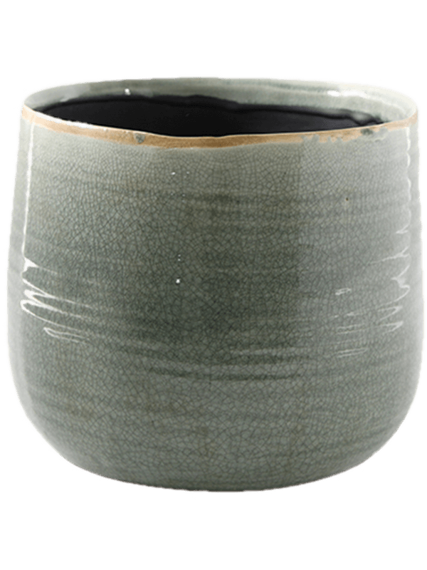 Iris - Pot Mint (⌀26 ↕21)