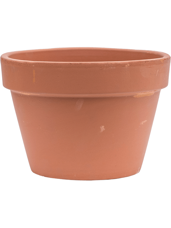 Terra Cotta - Flowerpot (⌀21 ↕15)