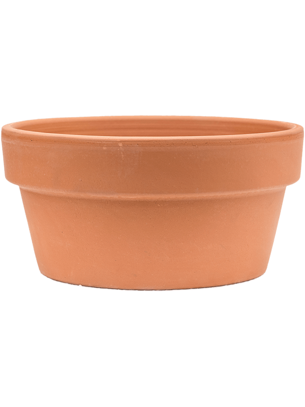 Terra Cotta - Bowl (⌀27 ↕15)