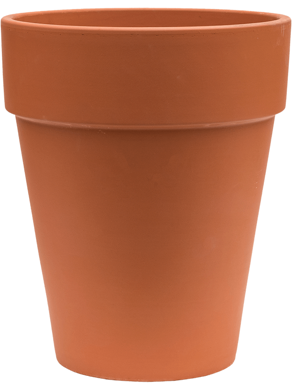 Terra Cotta - Flowerpot (⌀31 ↕34)