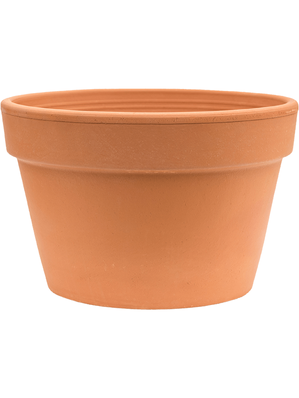 Terra Cotta - Flowerpot (⌀32 ↕22)