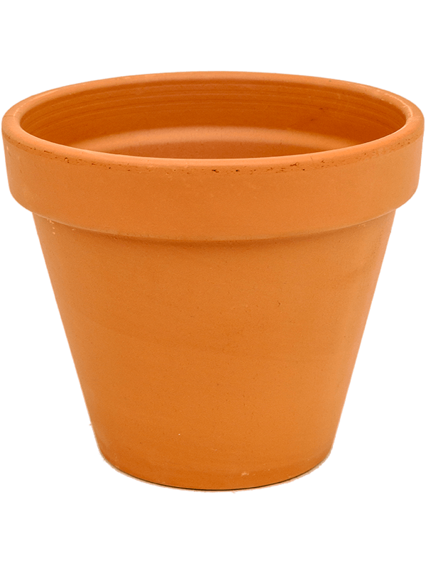Terra Cotta - Flowerpot (⌀27 ↕23)
