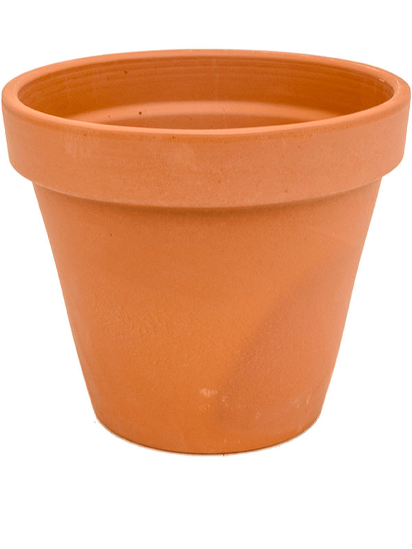 Terra Cotta - Flowerpot (⌀31 ↕25)