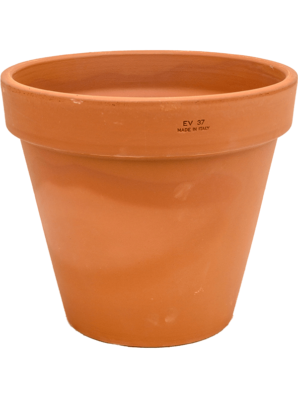 Terra Cotta - Flowerpot (⌀38 ↕31)