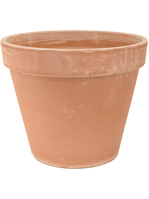 Terra Cotta - Flowerpot Antiques (⌀60 ↕50)