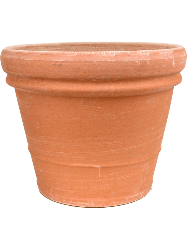 Terra Cotta - Doppio Bordo Antiques (⌀65 ↕57)