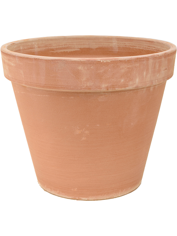 Terra Cotta - Flowerpot Antiques (⌀71 ↕60)