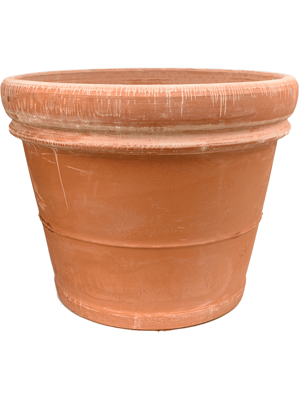 Terra Cotta - Doppio Bordo Antiques (⌀76 ↕58)