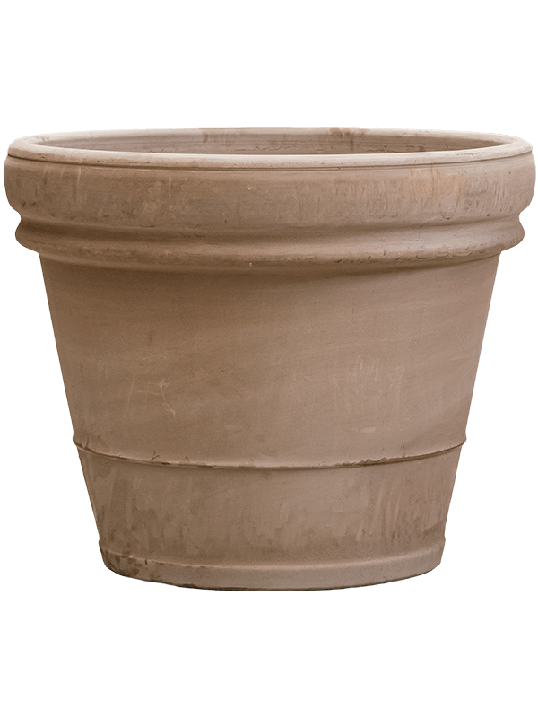 Terra Cotta - Doppio Bordo Grey (⌀65 ↕57)