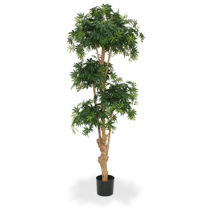 Artificial Acer Bonsai (170 cm)