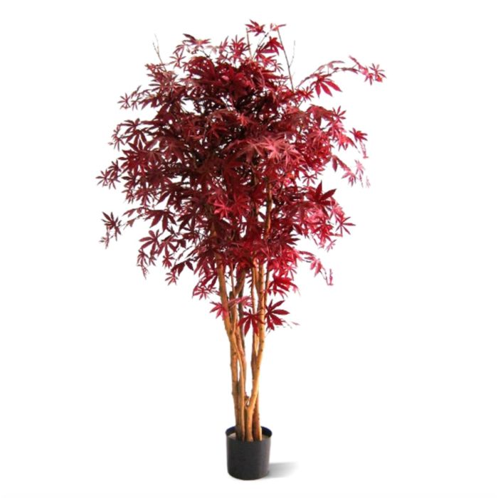 Albero artificiale Acer (160 cm)