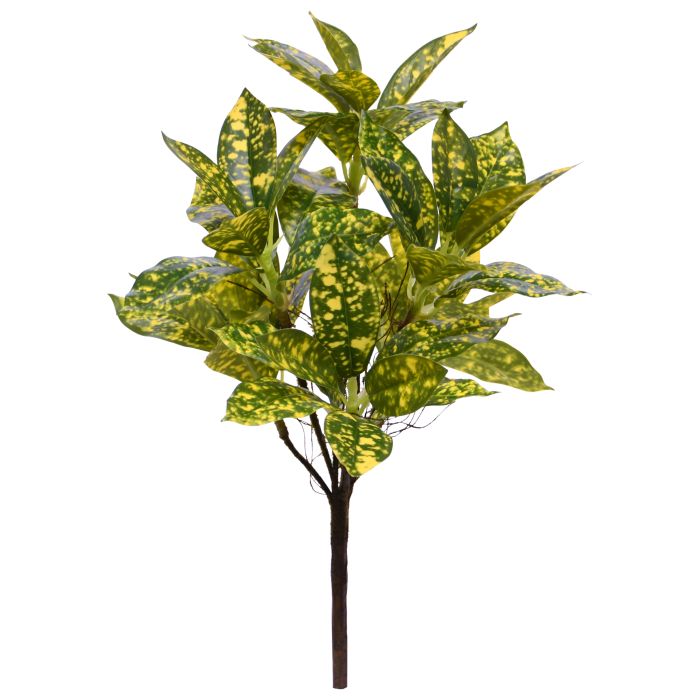 Kunstplant Acuba Japonica (35 cm)