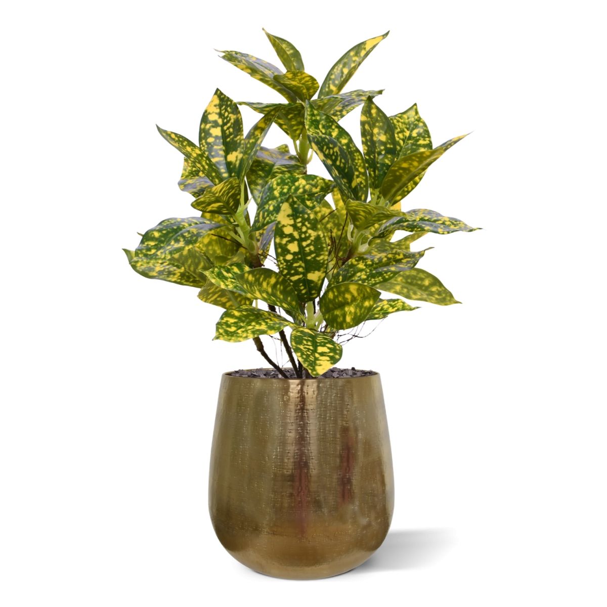 Kunstplant Acuba Japonica (35 cm)